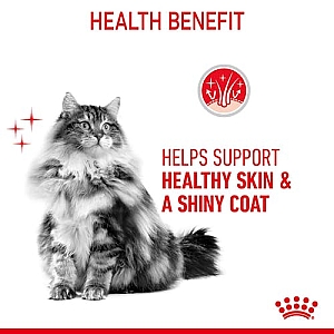 Royal Canin Hair & Skin Care w sosie  karma mokra dla kotów dorosłych, zdrowa skóra, piękna sierść saszetka 85g