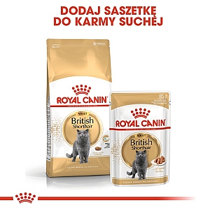 Royal Canin British Shorthair karma mokra w sosie dla kotów dorosłych rasy brytyjski krótkowłosy saszetka 85g