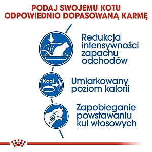 Royal Canin Indoor karma sucha dla kotów dorosłych, przebywających wyłącznie w domu 2kg