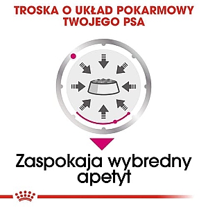 Royal Canin Exigent karma mokra dla wybrednych psów dorosłych, wszystkich ras, pasztet saszetka 85g