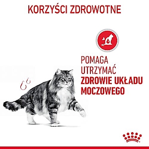 Royal Canin Urinary Care karma sucha dla kotów dorosłych, ochrona dolnych dróg moczowych 4kg