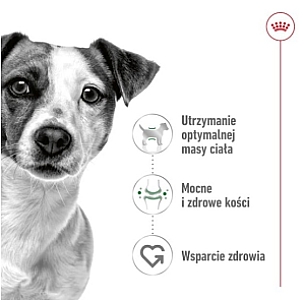 Royal Canin Mini Adult karma sucha dla psów dorosłych, ras małych 4kg