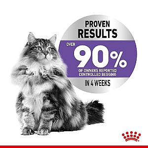 Royal Canin Appetite Control Care karma mokra w sosie dla kotów dorosłych, domagających się jedzenia saszetka 85g