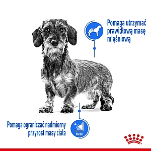 Royal Canin Mini Light Weight Care karma sucha dla psów dorosłych, ras małych z tendencją do nadwagi 3kg