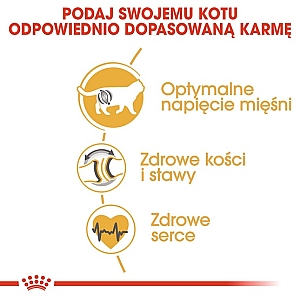 Royal Canin British Shorthair Adult karma sucha dla kotów dorosłych rasy brytyjski krótkowłosy 2kg