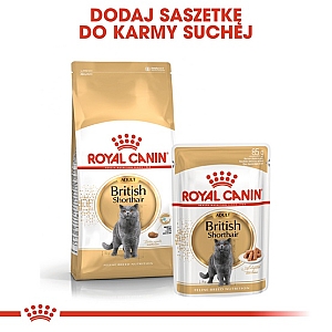 Royal Canin British Shorthair Adult karma sucha dla kotów dorosłych rasy brytyjski krótkowłosy 2kg