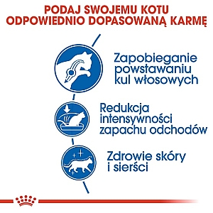 Royal Canin Indoor Long Hair karma sucha dla kotów dorosłych, długowłose, przebywających wyłącznie w domu 400g