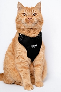 CHABA Szelki Guard Comfort Classic S czarne