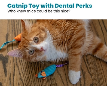 Petstages Myszki bliźniaczki z kocimiętką PS327