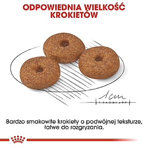 Royal Canin Mini Ageing 12+ karma sucha dla psów dojrzałych po 12 roku życia, ras małych 1,5kg