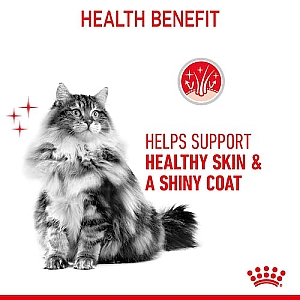 Royal Canin Hair&Skin Care karma sucha dla kotów dorosłych, lśniąca sierść i zdrowa skóra 4kg