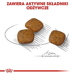 Royal Canin Mini Urinary Care karma sucha dla psów dorosłych, ras małych, ochrona dolnych dróg moczowych 3kg