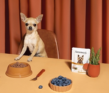 Amanova Dog Adult Exquisite Chicken - kurczak saszetka 300g [P03]