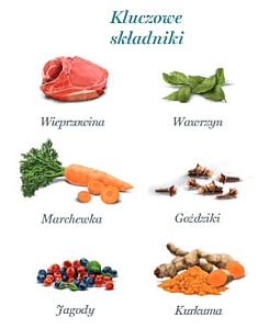 Amanova Dog Adult Iberian Pork - wieprzowina saszetka 100g [P04]