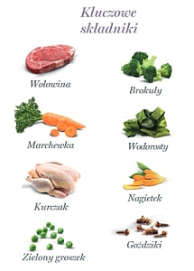 Amanova Dog Adult Brilliant Beef & Chicken - wołowina i kurczak saszetka 300g [P01]