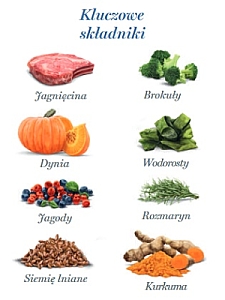 Amanova Dog Adult Delicious Lamb - jagnięcina saszetka 100g [P15]