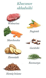 Amanova Dog Adult Irresistible Beef - wołowina saszetka 100g [P02]