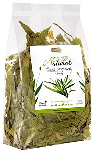 Alegia Babka lancetowata 100g