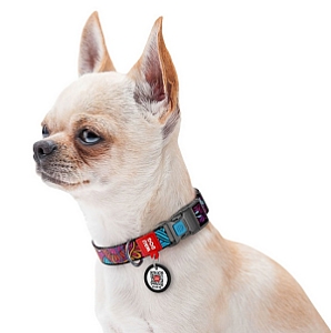 Collar WauDog Nylon Obroża nylonowa z QR-paszportem, plastikowy fastex, wzór LATO, 15mm/25-35cm