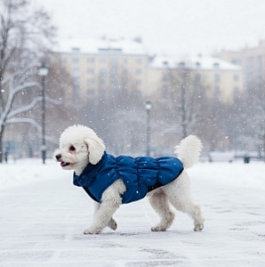 Grande Finale Kurtka granatowa ze stójką rozmiar 0 [U17]
