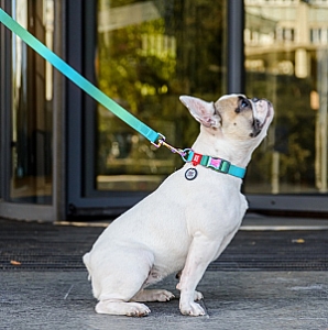 Collar WauDog Recycled Obroża nylonowa z QR-paszportem, gradient M 20mm x 28-40cm niebieski