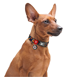 Collar WauDog Nylon Obroża nylonowa z QR-paszportem, plastikowy fastex, wzór POMARAŃCZE, 20mm/28-40cm