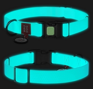 Collar WauDog Waterproof Obroża wodoodporna z QR-paszportem, akumulująca światło, plastikowy fastex, 15mm/25-35cm