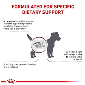 Royal Canin Veterinary Diet Canine Gastrointestinal Low Fat Small 3,5kg