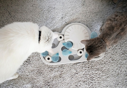 Nina Ottosson Cat Rainy Day Puzzle & Play - gra edukacyjna dla kotów