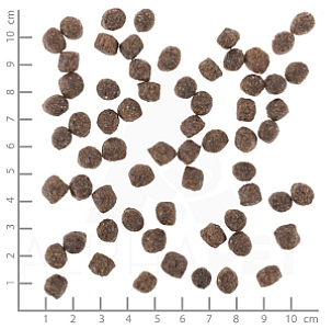 Wolfsblut Dog Range Lamb Adult Small - jagnięcina i ryż 2kg