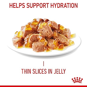 Royal Canin Light Weight Care w galaretce karma mokra dla kotów dorosłych, z tendencją do nadwagi saszetka 85g