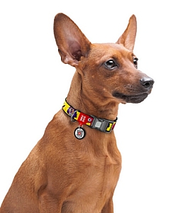 Collar WauDog Nylon Obroża nylonowa z QR-paszportem, plastikowy fastex, wzór FUTRZANE POTWORY, S 15mm/25-35cm