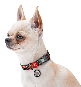 Collar WauDog Nylon Obroża nylonowa z QR-paszportem, plastikowy fastex, wzór ZĘBATE POTWORY, S 15mm/25-35cm