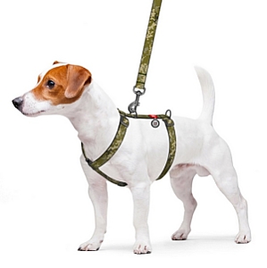 Collar WauDog Nylon Szelki nylonowe anatomiczne w kształcie litery H, z QR-paszportem, plastikowy fastex, wzór MILITARY, rozmiar M 20mm