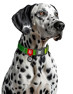 Collar WauDog Nylon Mono Obroża nylonowa odblaskowa z QR-paszportem, plastikowy fastex, M 20mm/28-40cm jasnozielona