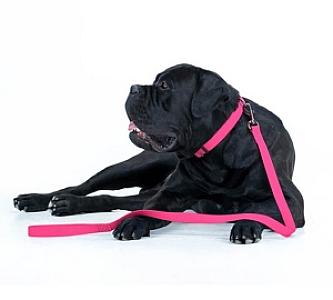 Collar Waterproof Smycz wodoodporna S 15mm/183cm różowa