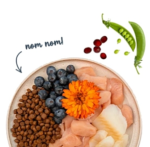 Sanabelle Adult Forelle - z pstrągiem 400g