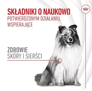 Royal Canin Skin & Coat Chews Adult Supplements 240g