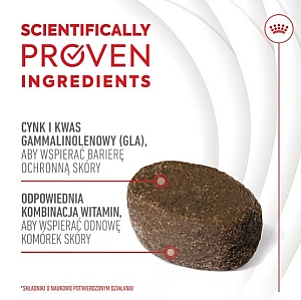 Royal Canin Skin & Coat Chews Adult Supplements 240g