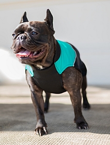 Chaba Ubranko regulowane Wear Magnifique 4XL zielone