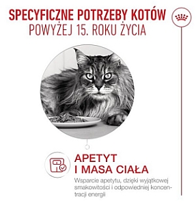 Royal Canin Ageing +15 karma sucha dla kotów dojrzałych 4kg