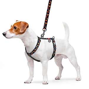 Collar WauDog Nylon Szelki nylonowe anatomiczne w kształcie litery H, z QR-paszportem, plastikowy fastex, wzór POMARAŃCZE, rozmiar S 15mm