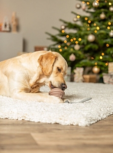 Trixie Zabawka Świąteczna dla psa Dzwonek z linką beżowy 12/36cm [TX-92018]