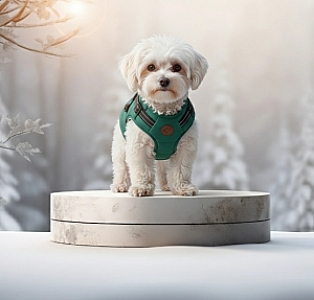 Zolux Kurtka puchowa z szelkami dla psa R.35 niebieska