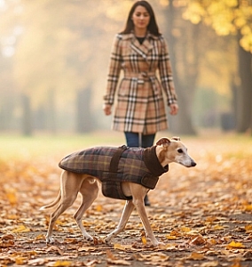 Zolux Kurtka w kratę dla psa Cheverny R.60 brązowa
