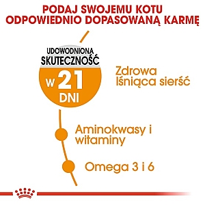Royal Canin Hair&Skin Care karma sucha dla kotów dorosłych, lśniąca sierść i zdrowa skóra 400g