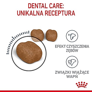 Royal Canin Dental Care karma sucha dla kotów dorosłych, redukująca odkładanie kamienia nazębnego 1,5kg