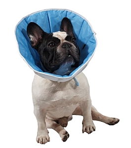 Grande Finale Kołnierz pozabiegowy z tkaniny rozmiar 7 niebieski [WET/KT/7(XXXXL)]