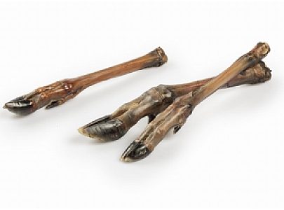 Balto Racica sarny 5szt