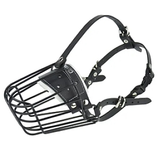 Champion Kaganiec metalowy fizjologiczny FIZ-2 (28/12)